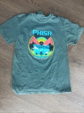 Comfort Colors Dusty Green Crewneck Tee